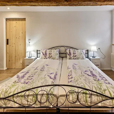 Daire Schmid Am Gaienhofen (Baden-Wurttemberg)