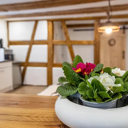 Schmid Am Apartmán Gaienhofen (Baden-Wurttemberg)